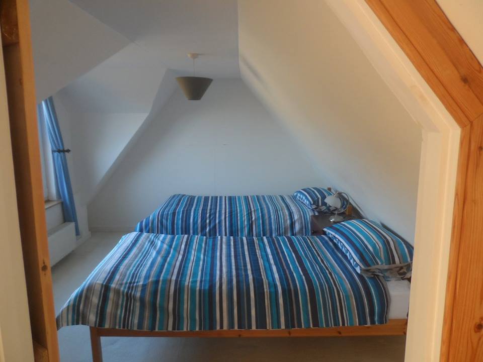 Guest bedroom with two beds